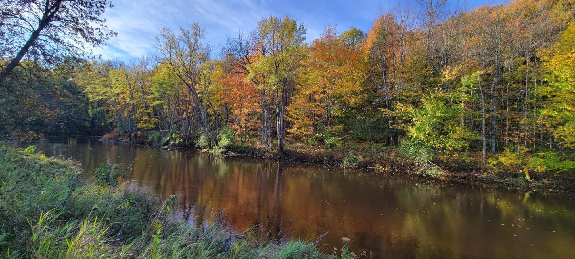 Black River Crossing Bed & Breakfast Bessemer Exteriör bild